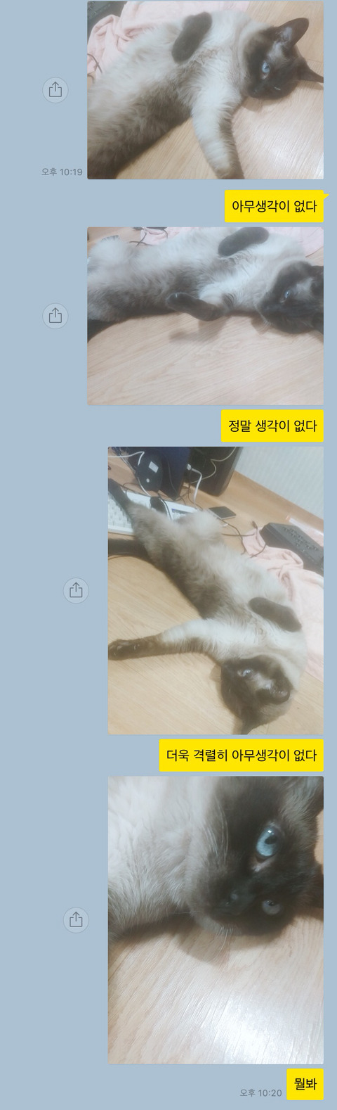 나는 정말 아무생각이 없다.... | 인스티즈