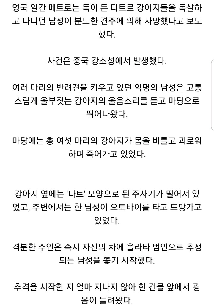 강아지 독살하고 다니던 남성 견주에 의해 사망 | 인스티즈