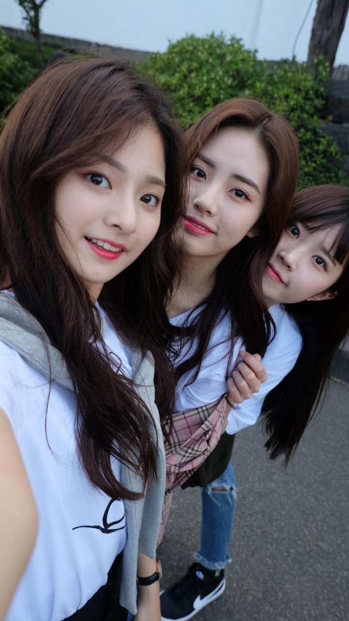 이새롬을 제외한 프로미스나인 멤버들.jpg | 인스티즈