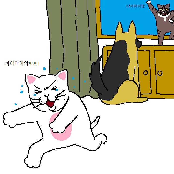 [만화] 사부고양이가 새끼고양이한테 무술 가르치는 만화 | 인스티즈