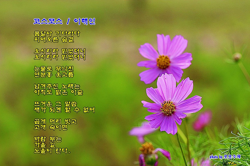 오대양육대주 이미지