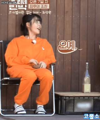 170813 효리네민박 아이유짤gif | 인스티즈