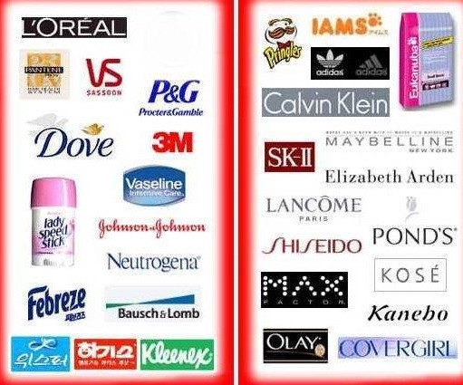 동물실험하는 브랜드 리스트 봐줘 쿠다사이,, | 인스티즈