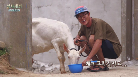 [삼시세끼] 처음 본 잭슨 때문에 놀라서 귱집사 팔 꼬옥 붙드는 고양이 쿵이.gif | 인스티즈