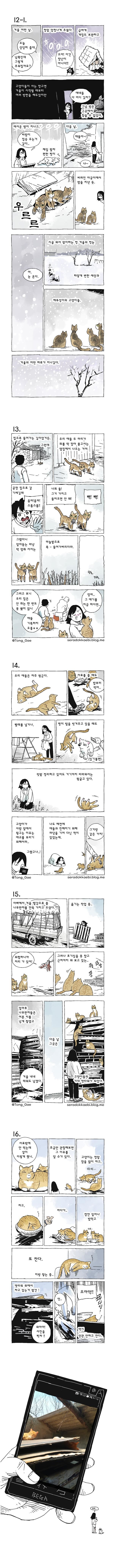 고양이 8마리와 살았다.jpg | 인스티즈