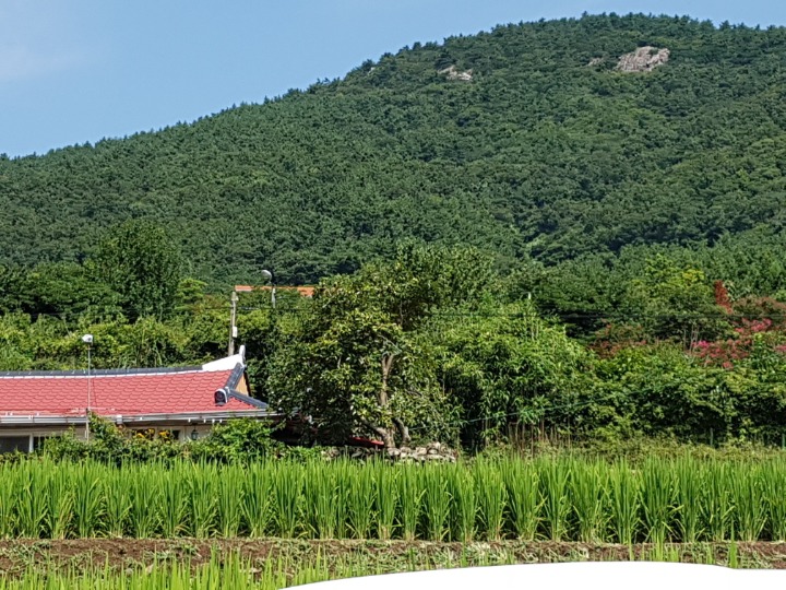 철쭉민박 이미지