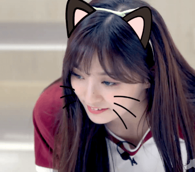 고양이 카페에 간 프로미스나인.gif | 인스티즈
