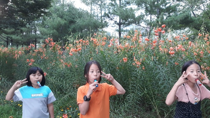 중앙특송(주) 이미지