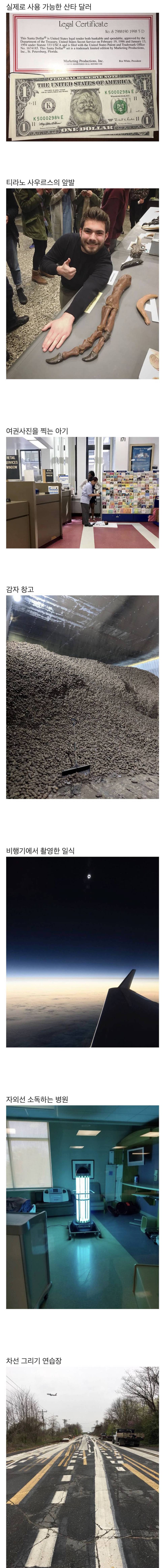 평소에 보기 힘든 사진들 | 인스티즈