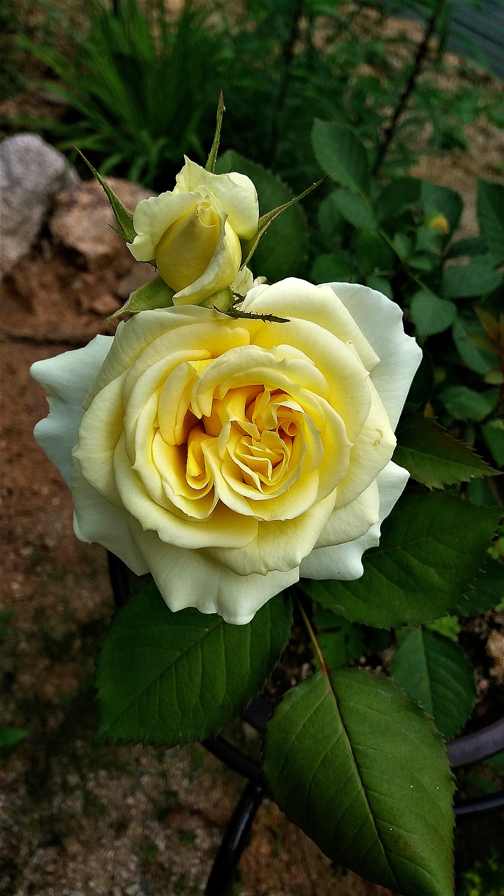 청림원 이미지