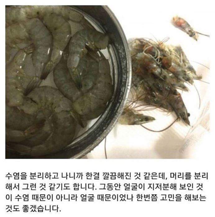 어느 한 블로거의 의식의 흐름.jpg (ㄹㅇ의식의 흐름 주의) (묘하게 논리적 주의) | 인스티즈