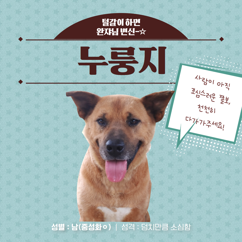 우리아네일 이미지