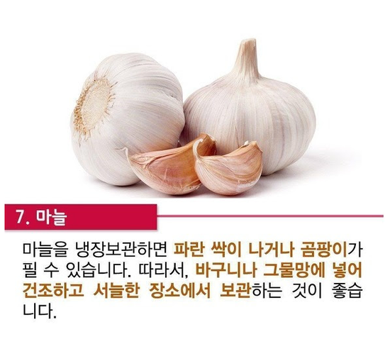 냉장고에 절대 넣지 말아야 할 음식 | 인스티즈