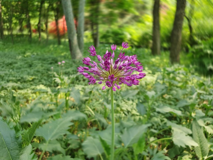 99314D355CD8BBD2077FC2