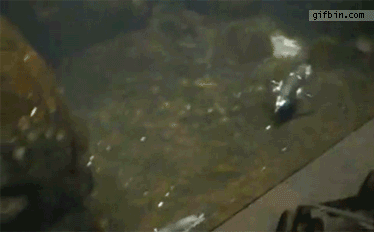 친구 얼굴에 방귀끼기.gif | 인스티즈
