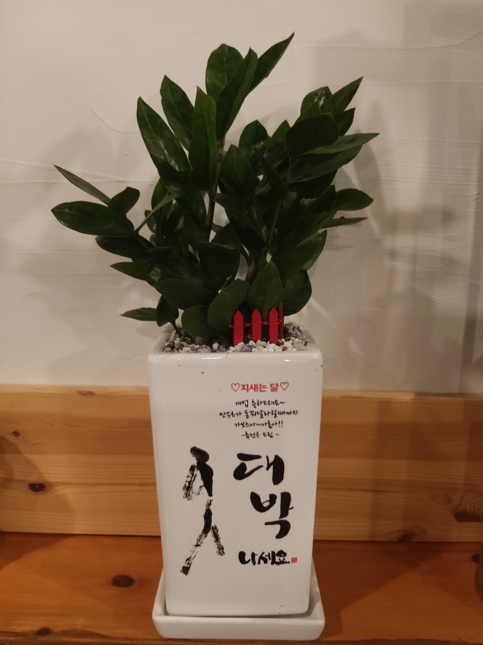돈바다 이미지