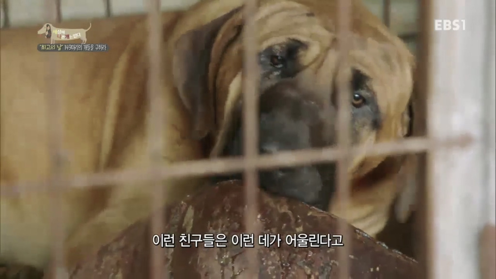 어떻게 사람을 그렇게 좋아할 수 있죠? | 인스티즈