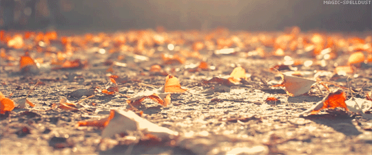 이 가을에 아직도 너를 사랑해서 슬프다 | 인스티즈