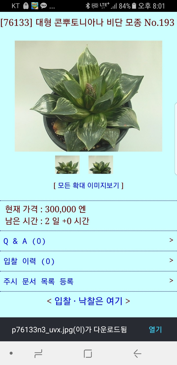 대형콤프 이미지
