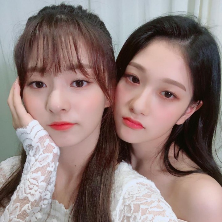 [프로미스나인] 모태애교장인이라 불리는 아이돌 | 인스티즈