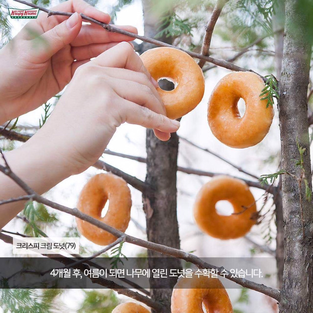 사람들이 잘 모르는 도넛 만드는 법.jpg | 인스티즈