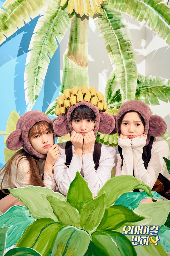제가 이미지