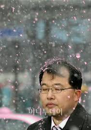 천본앵 이미지