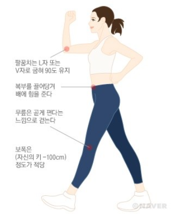 문텐 이미지