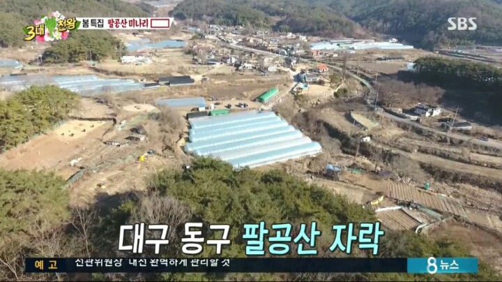백종원이 추천하는 삼겹살+미나리.jpg | 인스티즈