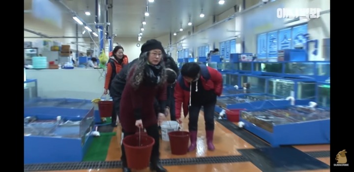횟집에서 새끼 출산하는 상어 | 인스티즈