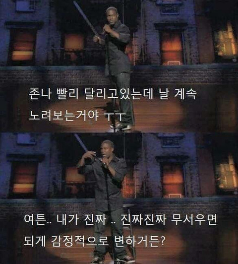 타조가 싫은 이유.jpg | 인스티즈