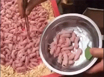 혐오음식 한중일 | 인스티즈