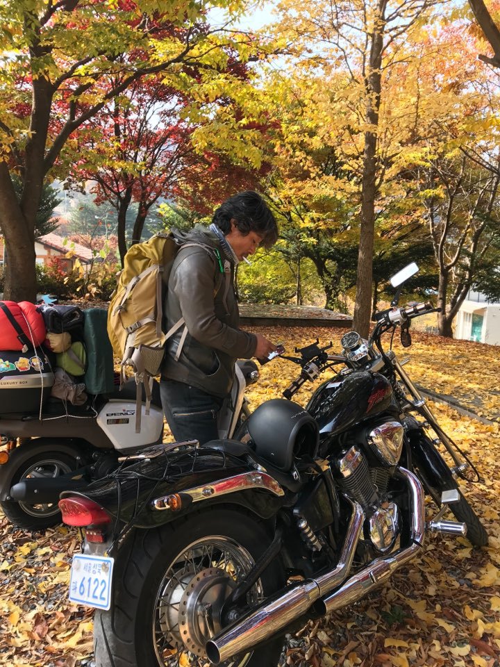 스프링거 이미지