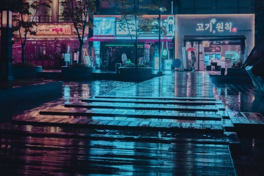  고양이가 걸어간다 | 인스티즈
