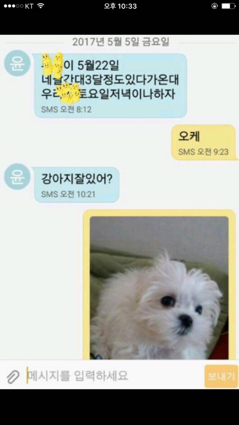 강아지사진보내제발.jpg | 인스티즈