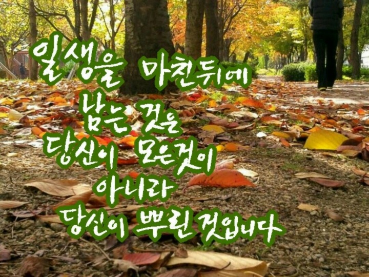 포미 이미지