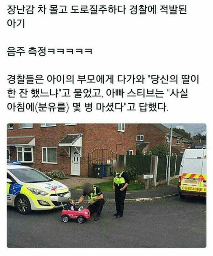 무면허 + 음주운전 | 인스티즈