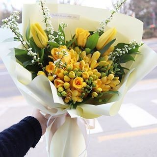 후리지아 이미지