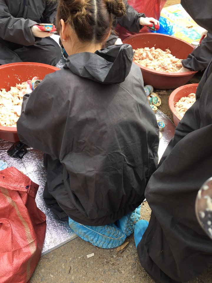 9975EC465C8682ED321F2D