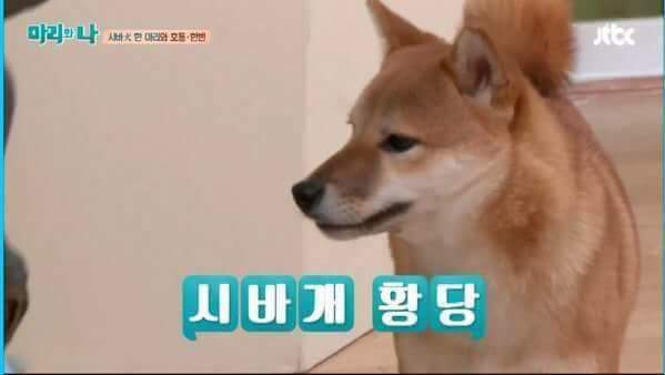 없음 이미지