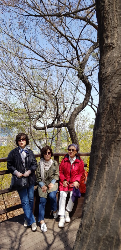 앵글노래연습장 이미지