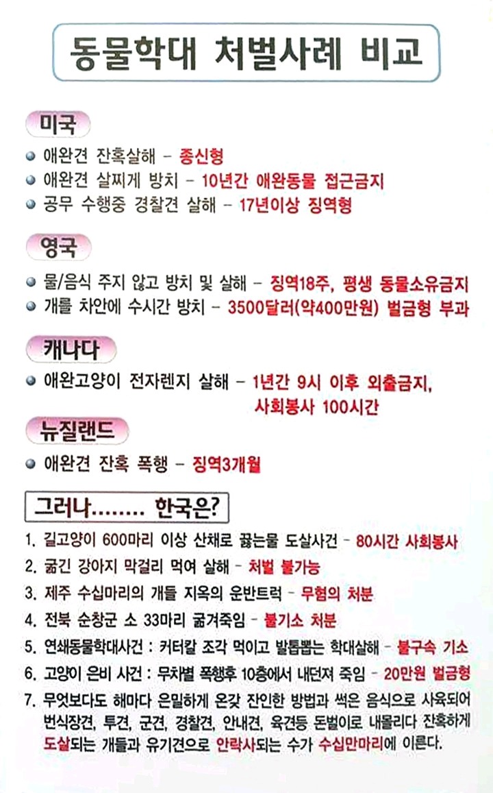 동물 학대 처벌 강화 청원에 한번씩만 동참 부탁해~ 어딘가에서 고통 받고 있을 아이들을 조금이라도 줄일 수 있는 청원이야!!!!!! | 인스티즈