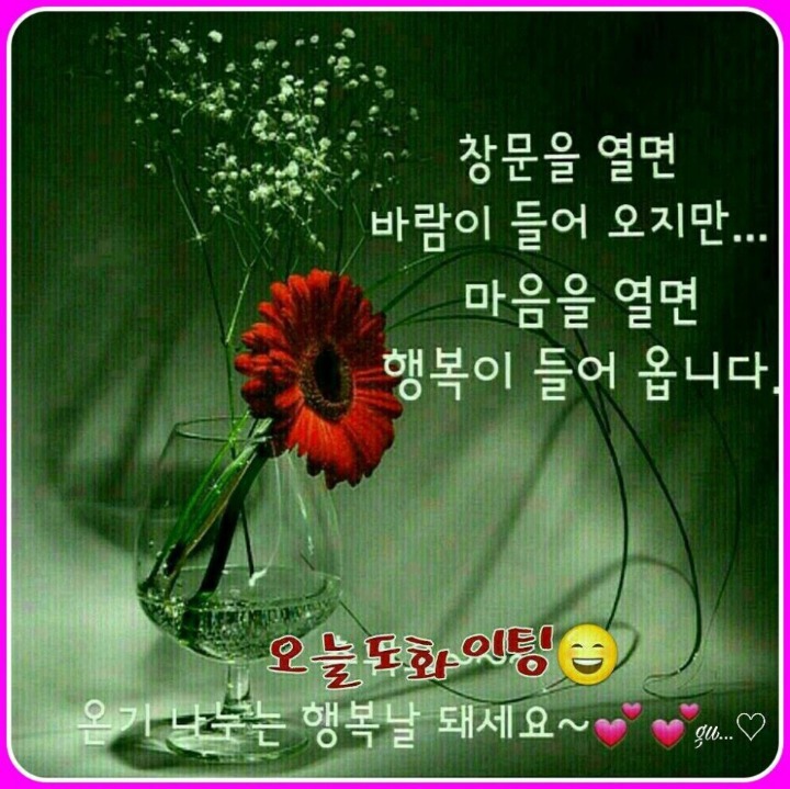 시원한바람 이미지
