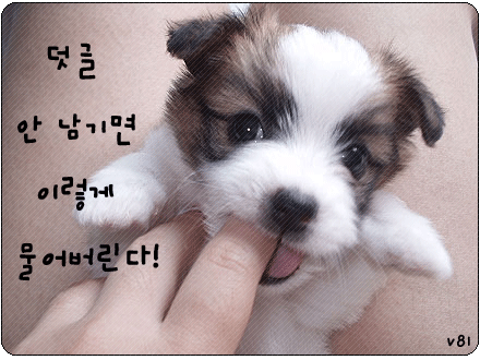 참 이미지
