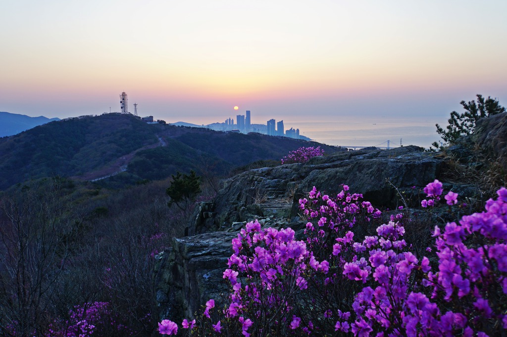 여여정 이미지