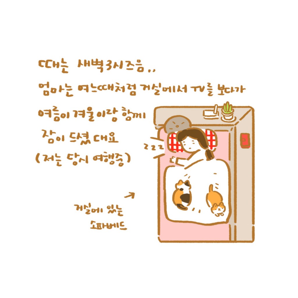 은혜갚은 고양이 겨울이 ㅜ.ㅜ | 인스티즈