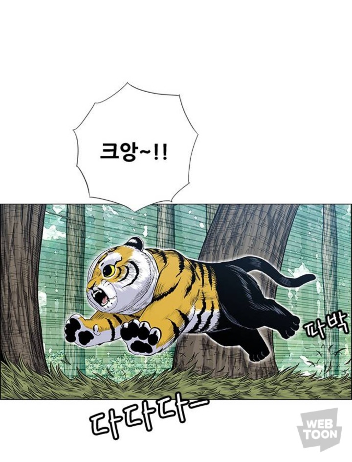 호랑이 형님 속 애기냥이 무케 모음 | 인스티즈