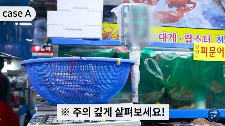 수산시장에서 바가지 안당하는법.JPG | 인스티즈