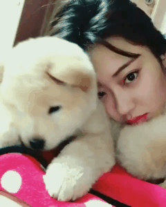 경리와 강아지 | 인스티즈