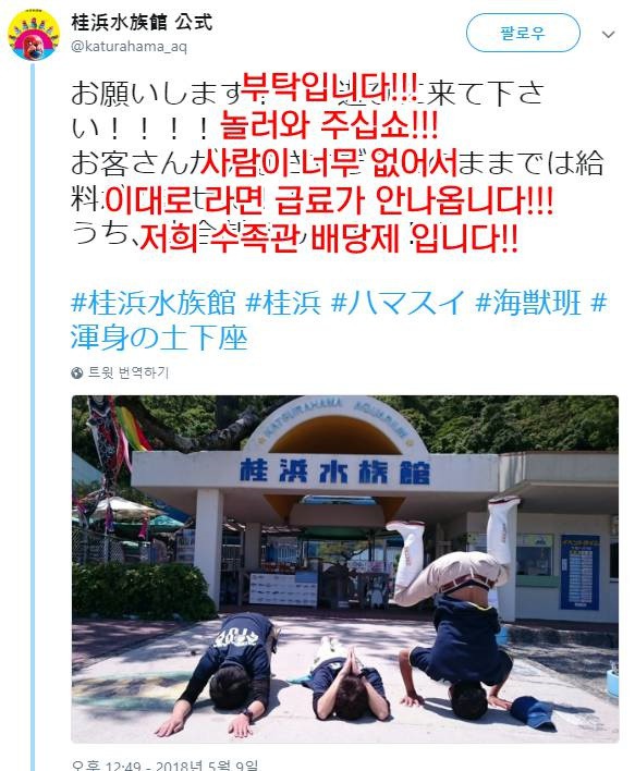 일본 어느 수족관.jpg | 인스티즈